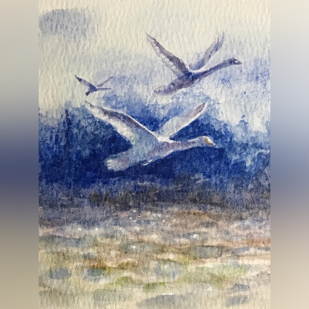 Original Swan Painting Watercolor Art Bird Landscape Small Artwork cottage core - Picture 4 of 8